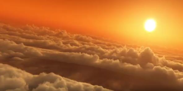 药苑情——51暗网
主题歌